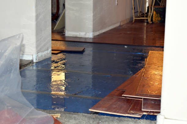 Professional Sewage Cleanup technician working in Grand Junction, TN